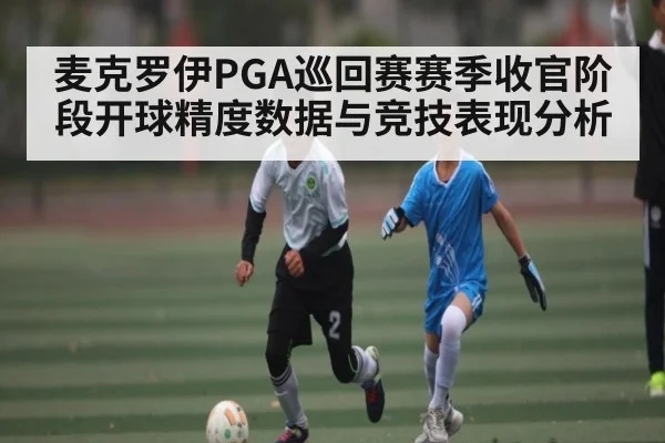 麦克罗伊PGA巡回赛赛季收官阶段开球精度数据与竞技表现分析
